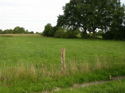 Anker Immobilien