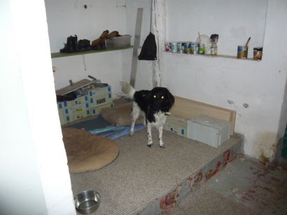 Anker Immobilien