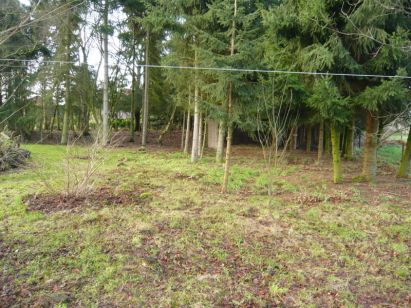Anker Immobilien