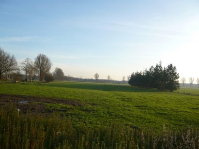 Anker Immobilien