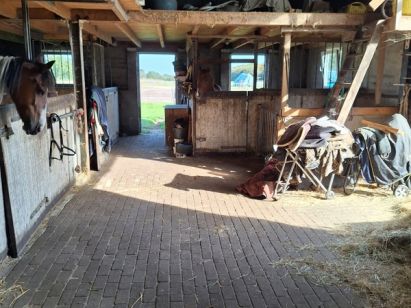 Anker Immobilien